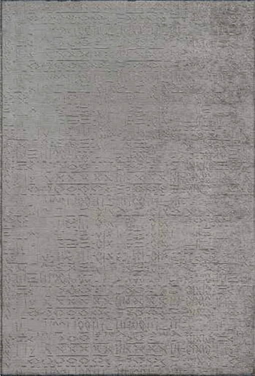K5036 - Vizon